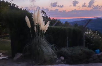 Casa da Viña - Ribeira Sacra - Foto 28