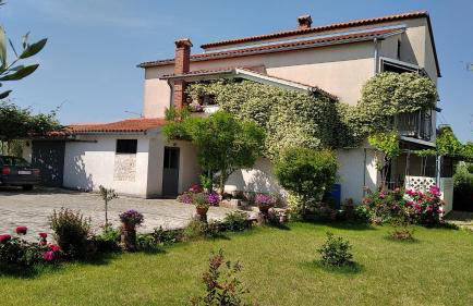 Apartments Saša - pets friendly! - Foto 19