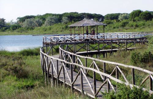 Apartments in Ariano nel Polesine 24954 - Photo 19