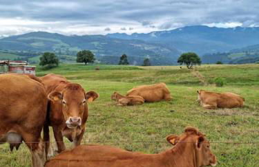 El Tejo, Luminoso y acogedor apartamento - Foto 32