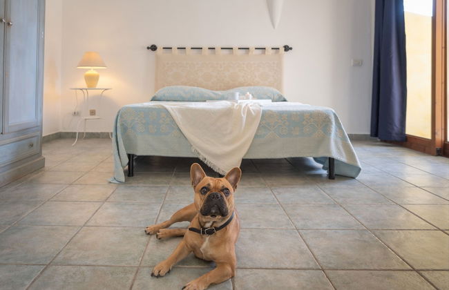 Tranquile Palau Green Village Studio Prem 2 Person Plus Possible Extra Child-bed - Foto 2