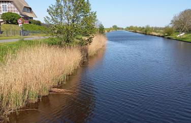 KüstenMuschel - Foto 45