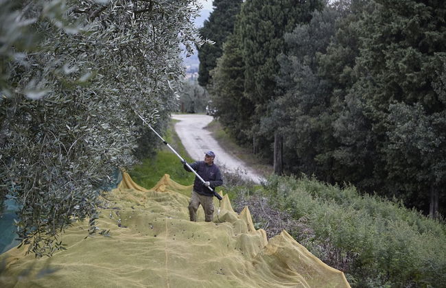 Colle Da Vinci - Photo 42