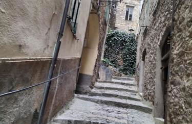 Casa Anita - Photo 15