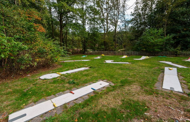 2 bedroom House in Dwingeloo with swimming pool and terrace - Photo 16