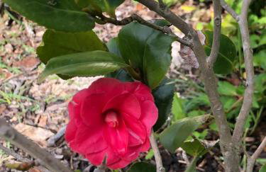 Le Merlat Gite - Foto 36