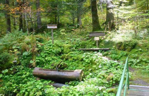 Ferienwohnung Schog - Foto 29