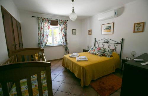 Tapada da Beirã - Foto 20