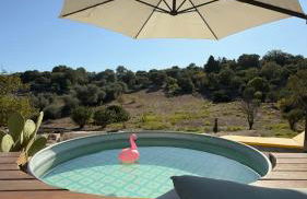 La Mia Lamia - Foto 10