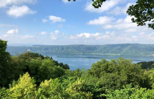 Ferienwohnung Haid Bodensee, Umgebung Bodman-Ludwigshafen, Radolfzell, Überlingen, Luxus FeWo Haid - Foto 8