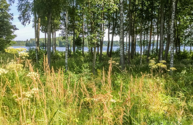 Annelinniemi - Foto 40