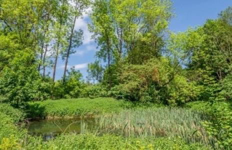 Ferienhaus Kurt - Foto 6