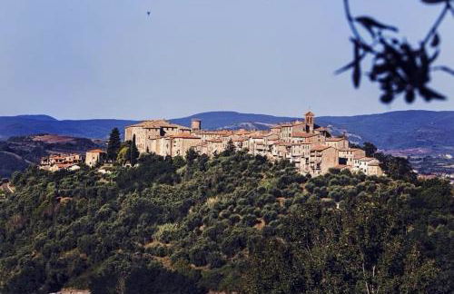 L'Umbrichella - casa vacanze in piccolo borgo medioevale - Foto 34