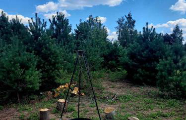 Oaza Święty Spokój - domek z balią i jacuzzi - Foto 45