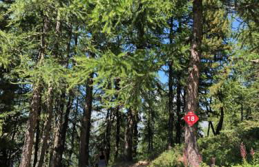 Les ARCS 1600 - SKI AUX PIEDS - MAGNIFIQUE DUPLEX 12 PERSONNES - Foto 69