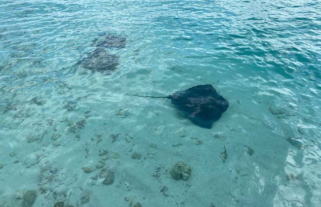 Excursion aux îlots de San Andrés - Photo 7