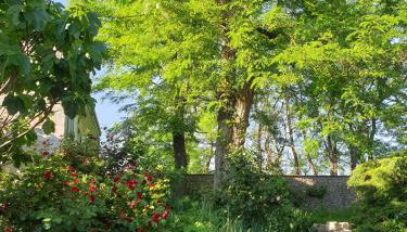 Bois logis - Photo 3