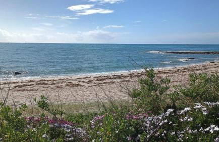 Villa bord de mer - Foto 3