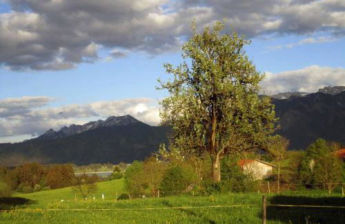 Bauernhaus Markus Köpf - Foto 29