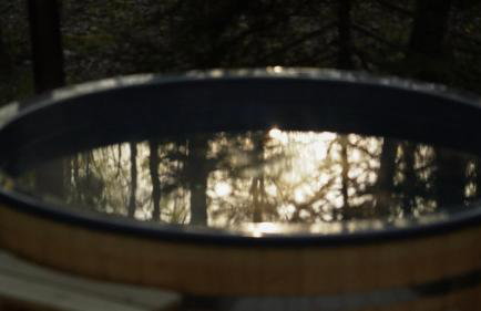 Biały Las Magiczna Stara Chata Puszcza Białowieska - Foto 45