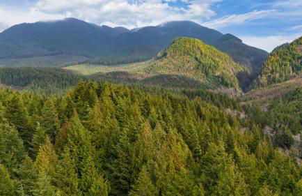 Rustic Arch Cape Getaway w/ Vibrant Interior Walk to the Beach Cape Wonder - Foto 82