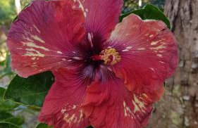 La Luciole Ecolodge - Foto 33