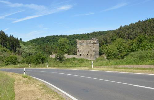 Ferienhaus Paula in Haserich im Hunsrueck - Foto 56