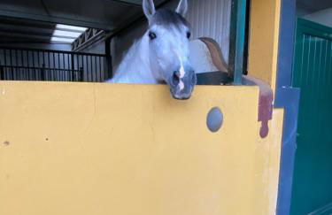 QR Casas de Campo - Foto 64