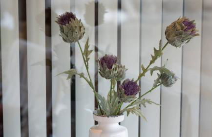 Pippin, Tranquil Scottish Cottage with Hot Tub - Foto 14