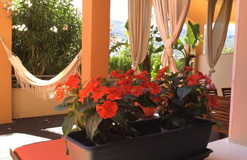 Denia Deluxe Chillout Experience - Foto 1