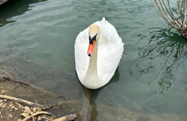 Rachels Luxury Tattershall Hot Tub & Fishing Retreat - Foto 75