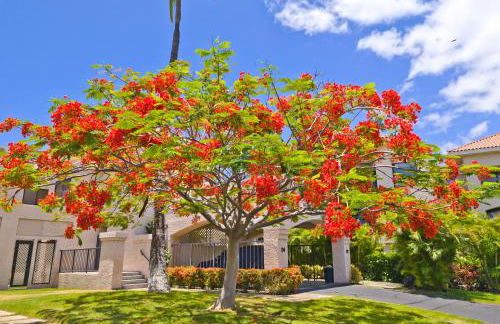 Shores at Waikoloa 132 Hale Kai - Foto 27