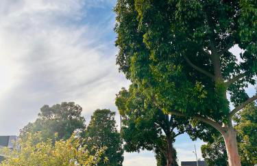 Los Angeles Gem - Foto 40