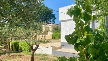 Ivano & Franko apartments - Foto 4