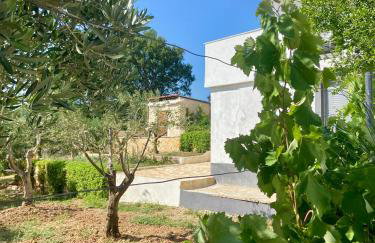 Ivano & Franko apartments - Foto 4