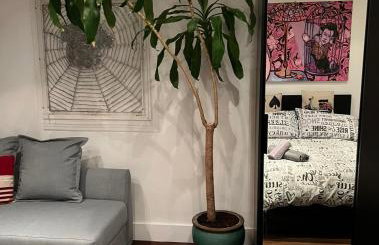 Prospect House - Foto 39