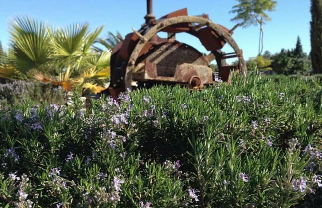 Hotel Rural Molino la Boticaria - Photo 26