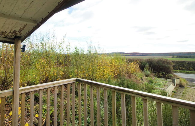 Accessible Bungalow - 4 Beds 2 Baths -dog Friendly - Foto 38