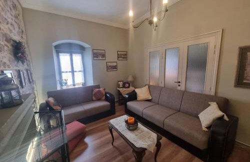 Βίλα Ελιά Παραδοσιάκο σπίτι στην Αμφίκλεια - Foto 10