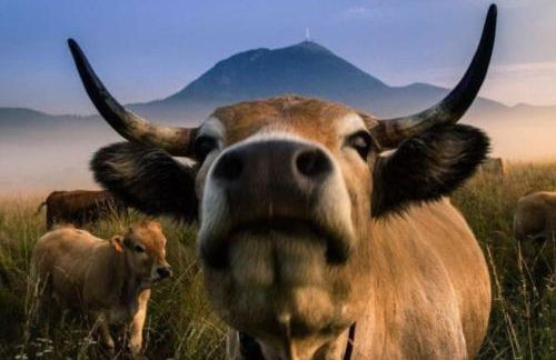 La Loge des Volcans - Vue Puy De Dôme - Foto 30
