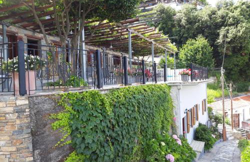 Ammos papanero - Foto 32