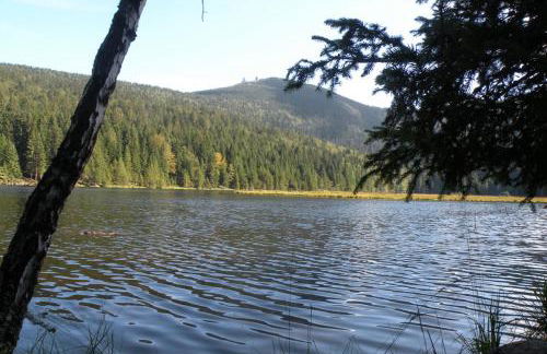 Ferienwohnung Völkl - Foto 15