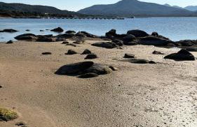 Casa vacanza da Gabry sardinia - Foto 42