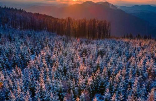 Villa in Zentrumsnähe, Medebach - Foto 33