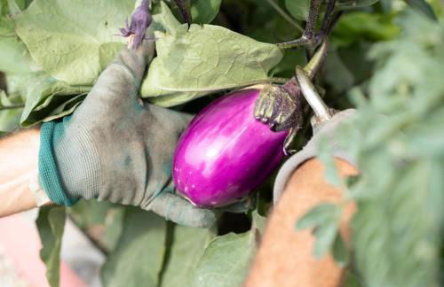 Vigne di Fagnano 1709 Eco Relais - Photo 49