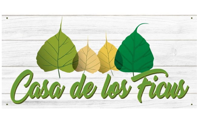 House of Ficus Banderilla,veracruz-mexico - Foto 55