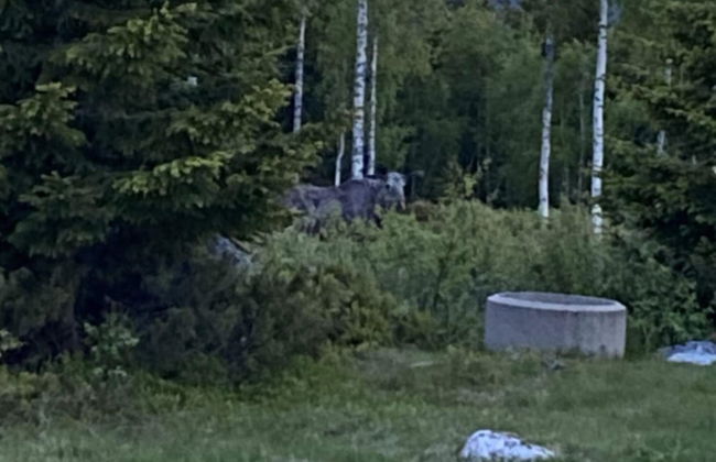 4 Star Holiday Home in Syssleback - Foto 20