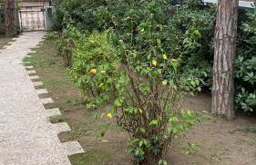 A casa di Rachele - Photo 30