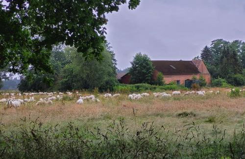 Wunschhof the dreaming farmhouse - Foto 1