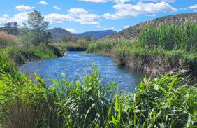 La Casita Denia - Foto 35